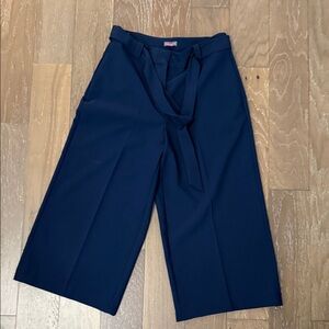 Vince Camuto Dark Blue Wide Leg Crop Elegant Pants